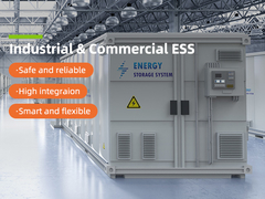 Energy Storage Container CE Certificated ESS Solutions LiFePo4 Battery Energy Grid