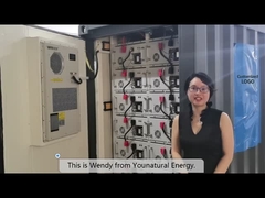 40ft Containerized Battery Energy Storage System 1MW 2MWH LiFePo4 Battery